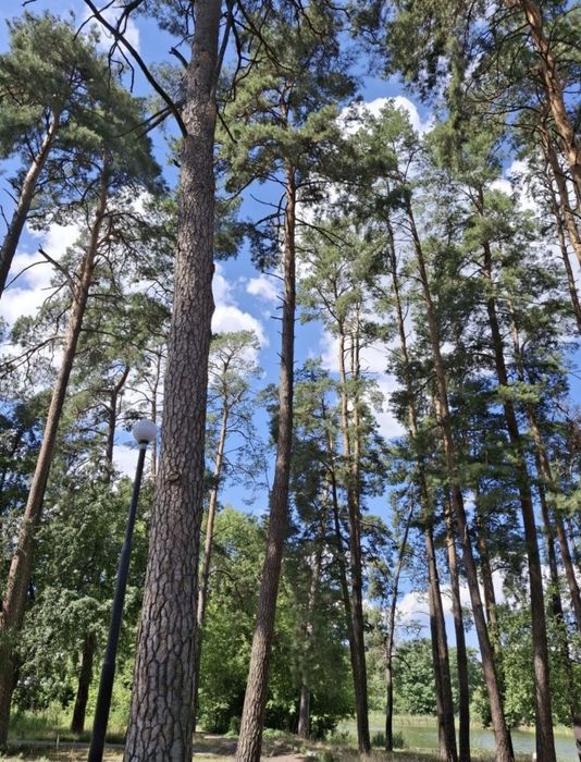 Квартира на вул. Кленова, 45 в Києві, ID 412333, фото №12