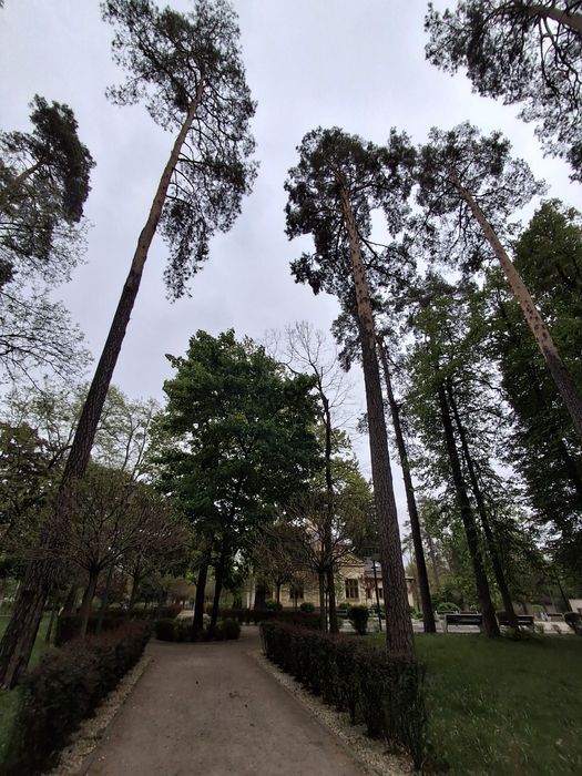 Квартира на вул. Кленова, 45 в Києві, ID 412333, фото №16