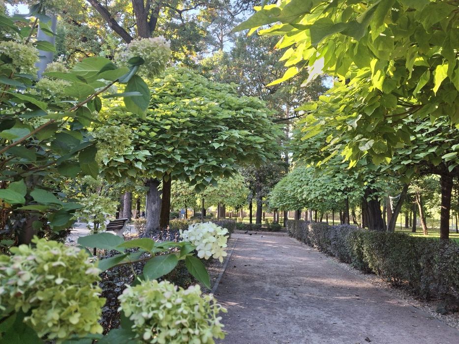 Квартира на вул. Кленова, 45 в Києві, ID 412333, фото №18