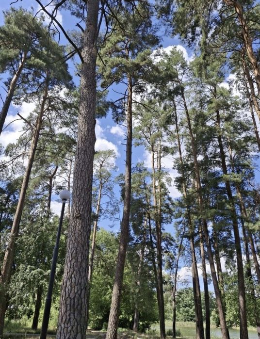 Квартира на вул. Декабристів в Києві, ID 412421, фото №18