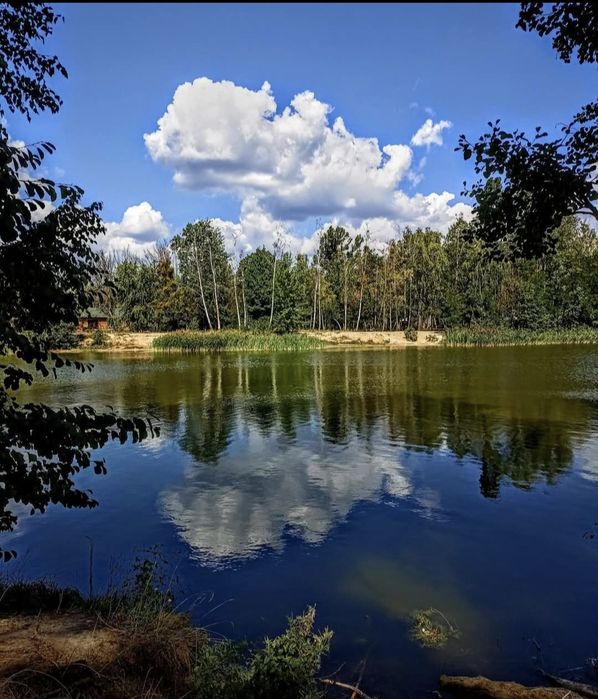 Квартира на вул. Декабристів в Києві, ID 412421, фото №21