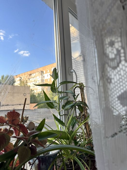 Квартира на бульв. Шевченка, 403 в Черкасах, ID 414016, фото №6