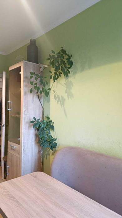 Квартира на вул. Прирічна, 19г в Києві, ID 414071, фото №23