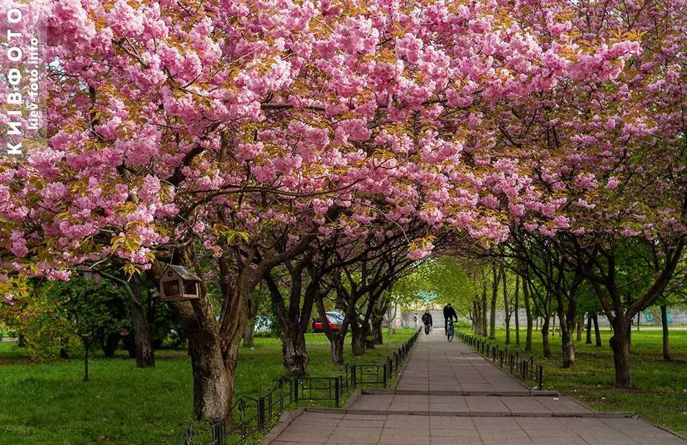 Квартира на вул. Луценка, 6 в Києві, ID 414462, фото №18