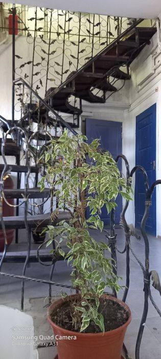 Квартира на Дарницький в Києві, ID 414525, фото №8