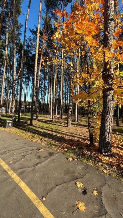 Квартира — Гостомель в Києві, ID 431078, фото №8