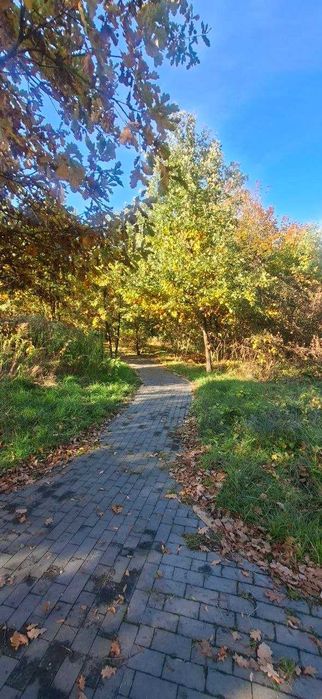 Квартира на ЖК Дубовий Гай в Києві, ID 435514, фото №11