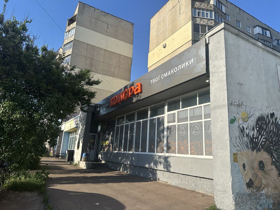 Квартира на просп. Левка Лук'яненка, 70 в Чернігові, ID 443199, фото №4