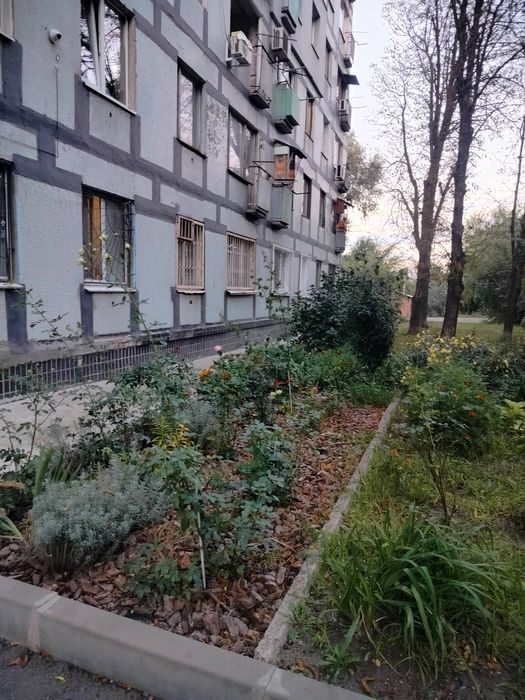 Квартира на Новокодацький в Дніпрі, ID 465473, фото №2