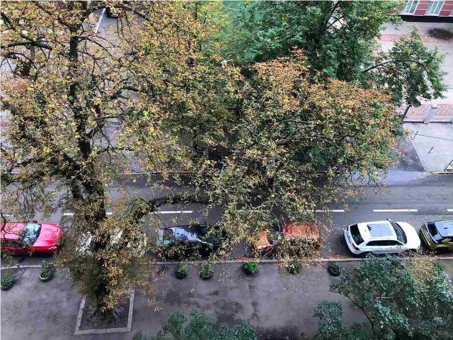 Квартира на вул. Панаса Мирного, 11 в Києві, ID 475148, фото №14