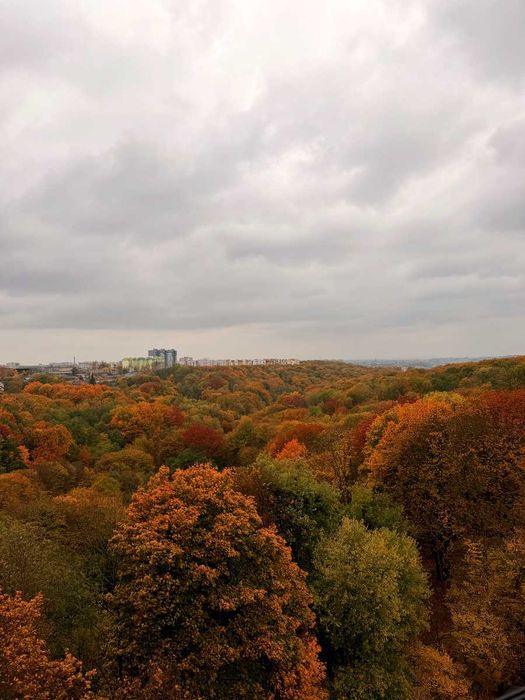 Квартира на вул. Пасічна в Львові, ID 476106, фото №2