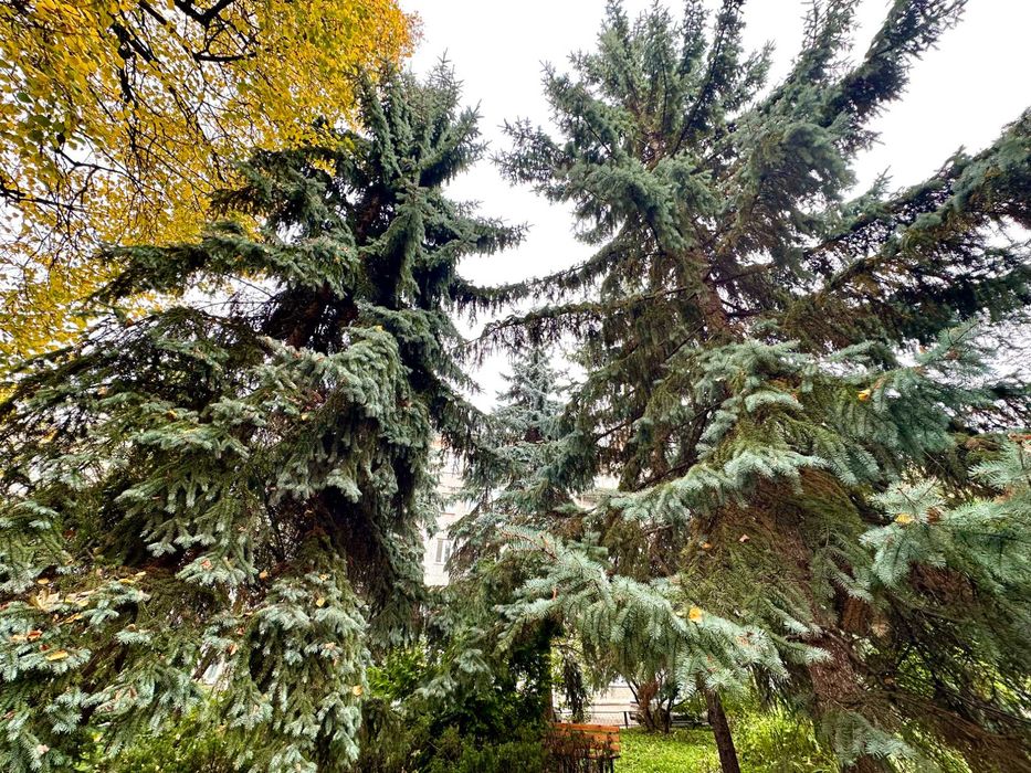 Квартира на вул. Івана Мазепи, 26А в Києві, ID 475956, фото №18