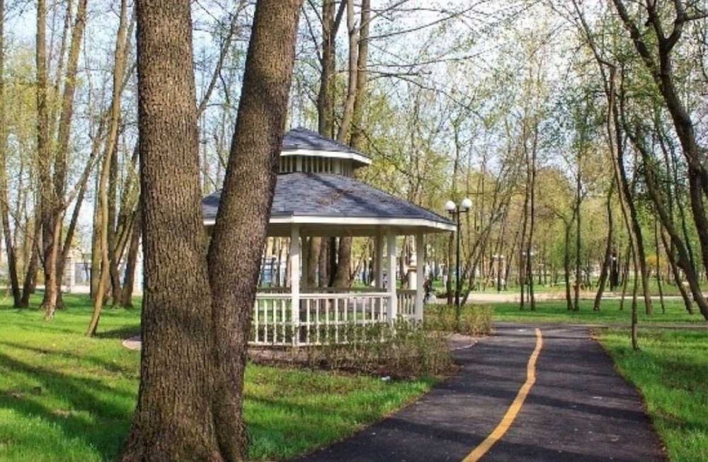 Квартира на вул. Любомира Гузара в Києві, ID 476231, фото №12