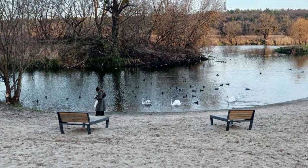 Квартира на вул. Любомира Гузара в Києві, ID 476231, фото №13