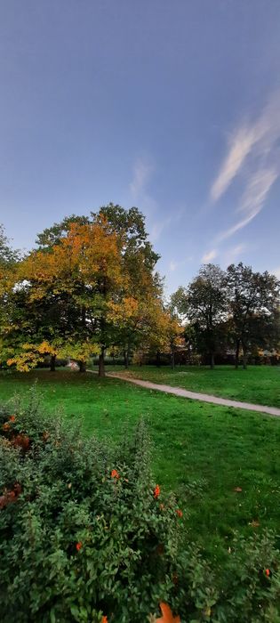 Квартира на вул. Микитенка, 3 в Києві, ID 476875, фото №6