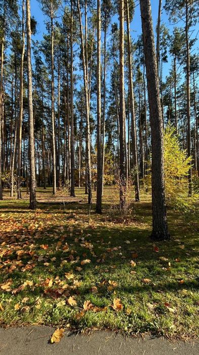 Квартира — Гостомель в Києві, ID 478603, фото №7