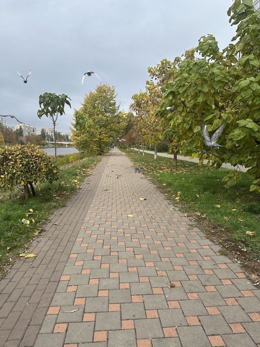 Квартира на вул. Євгена Сверстюка, 6В в Києві, ID 483365, фото №16