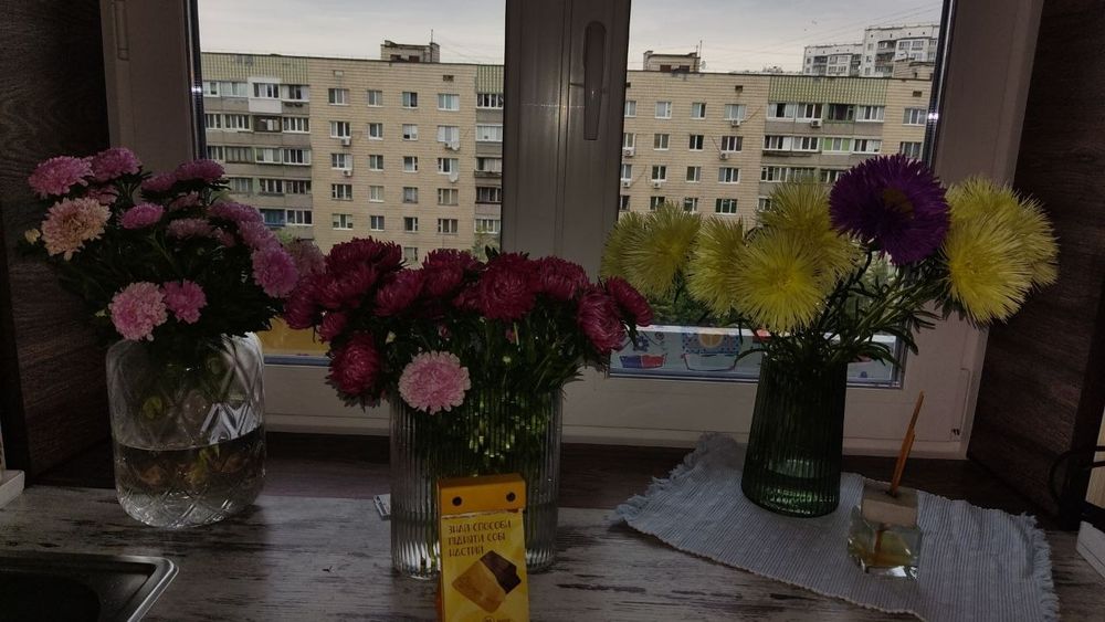 Квартира на вул. Малишка в Києві, ID 486534, фото №3