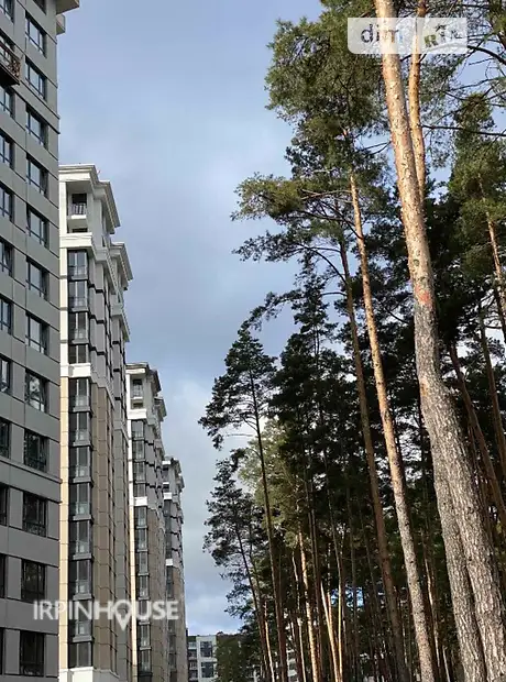 Квартира на вул. Університетська 3/8 в Києві, ID 224161, фото №12