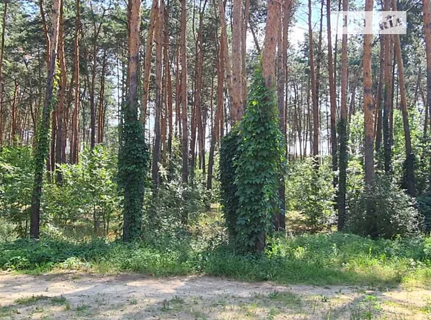 Квартира на вул. Радистів, 34Н в Києві, ID 179048, фото №4