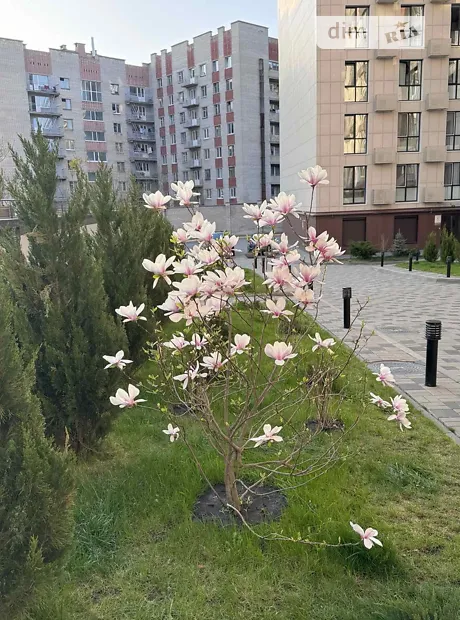 Квартира на вул. Левка Лук’яненка 16-20 в Дніпрі, ID 205084, фото №5