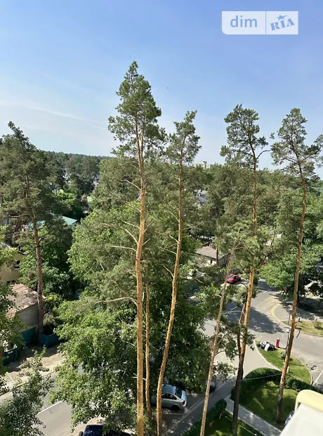 Квартира на вул. Тургенівська, 50 в Києві, ID 231199, фото №10
