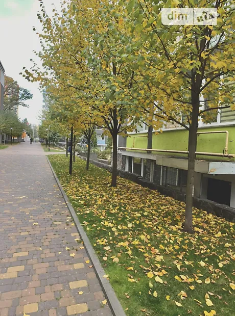 Квартира на вул. Григорія Сковороди, 25 в Києві, ID 230996, фото №10