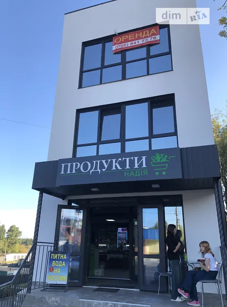 Квартира на вул. Мирна, 3Б в Києві, ID 307084, фото №15