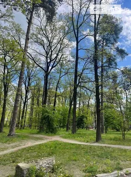 Квартира на вул. Матвія Донцова, 91 в Києві, ID 237494, фото №4