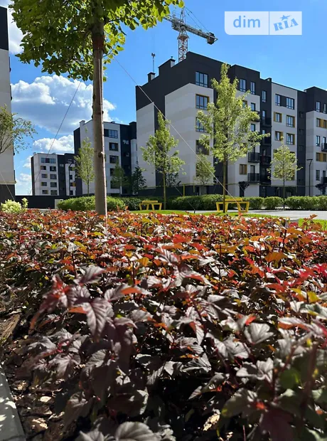 Квартира на вул. Соборна 2К/15 в Києві, ID 239772, фото №17