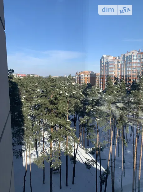Квартира на вул. Університетська 3/6 в Києві, ID 226251, фото №5
