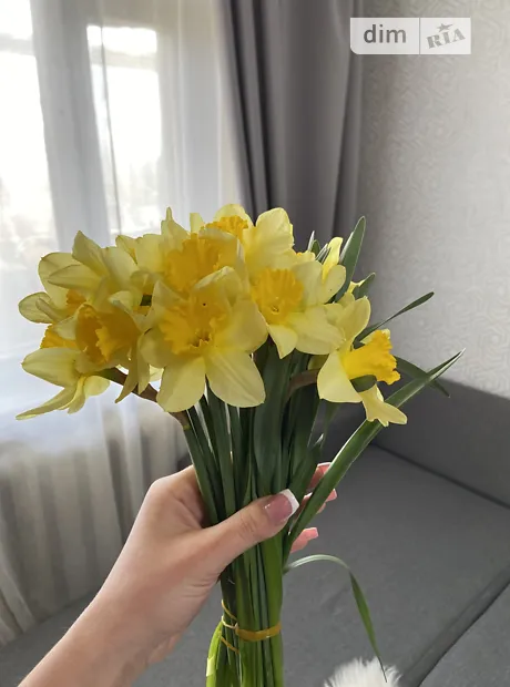 Квартира на вул. Академіка Тарле, 6 в Херсоні, ID 292121, фото №12