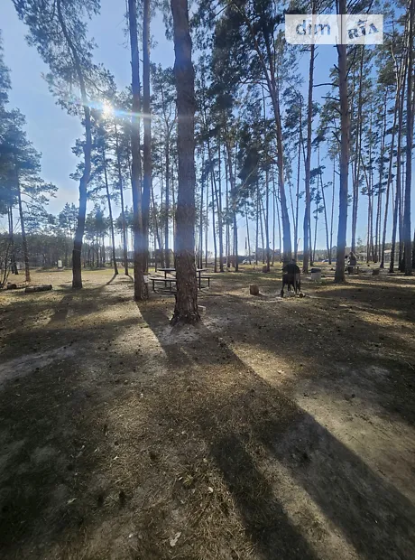 Квартира на вул. Університетська, 1Л в Києві, ID 237693, фото №16