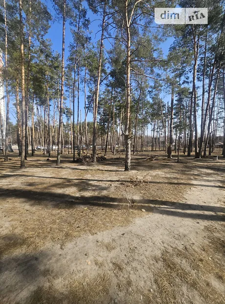 Квартира на вул. Університетська, 1Л в Києві, ID 237693, фото №17