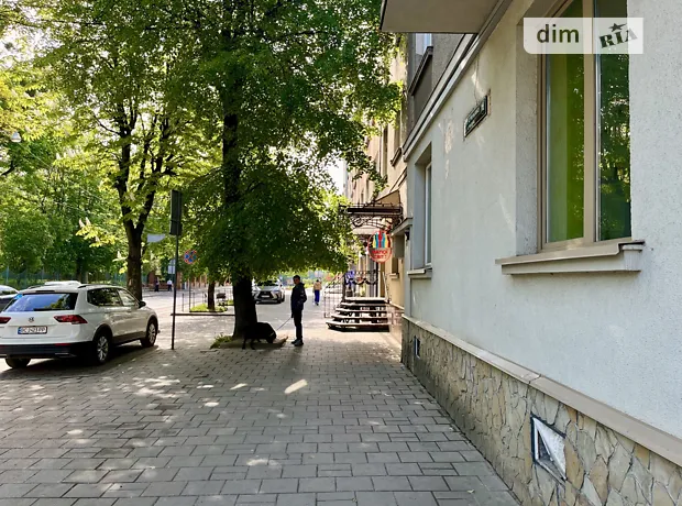 Квартира на вул. Андрія Мельника в Львові, ID 202096, фото №23