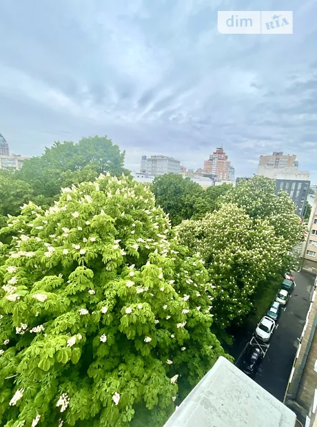Квартира на бул. Лесі Українки, 19 в Києві, ID 169525, фото №10