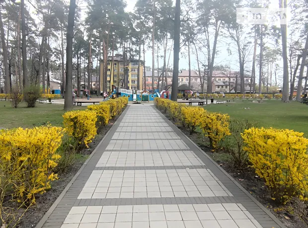 Квартира на вул. Матвія Донцова, 24 в Києві, ID 244404, фото №27