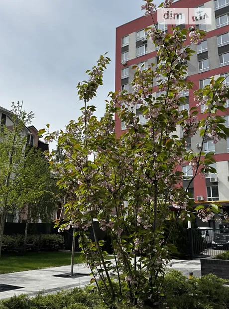 Квартира на вул. Василя Стуса, 27 в Києві, ID 225577, фото №18