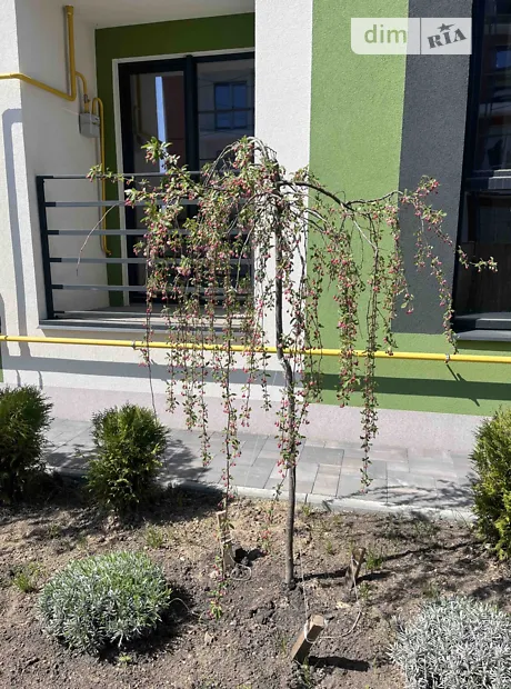 Квартира на вул. Українська в Києві, ID 307497, фото №5