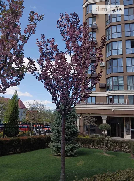 Квартира на просп. Мартинова, 32 в Києві, ID 222372, фото №5