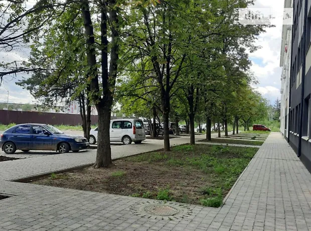 Квартира на вул. Сергія Мартина, 4 в Ужгороді, ID 223895, фото №9