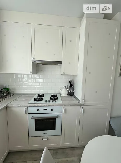 Квартира на вул. Бориса Гмирі 11/6 в Києві, ID 252252, фото №4