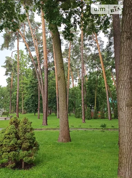 Квартира на вул. Матвія Донцова в Києві, ID 236462, фото №9
