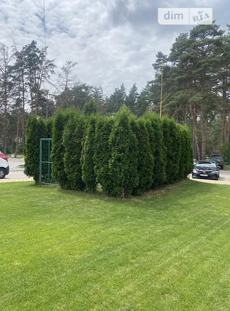 Квартира на вул. Центральна, 7 в Києві, ID 307804, фото №8