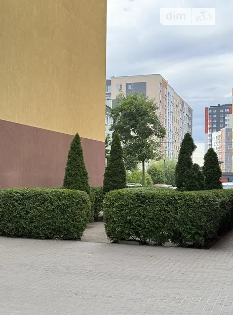 Квартира на вул. Миколи Сингаївського, 1Л в Києві, ID 222805, фото №21