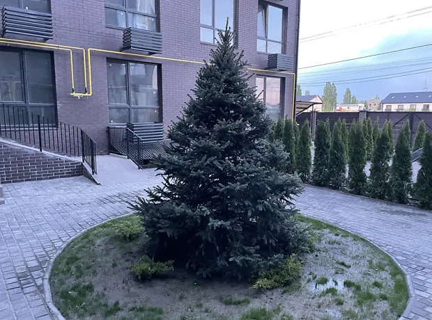 Квартира на вул. Енергетиків, 15 в Києві, ID 306735, фото №4