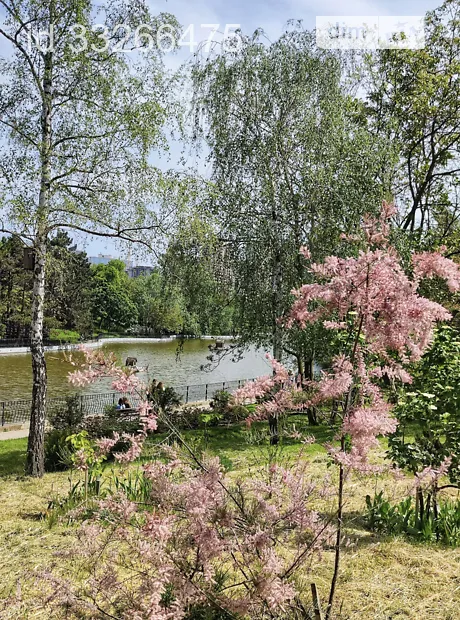 Квартира на вул. Добровольців 10/6 в Одесі, ID 177123, фото №24