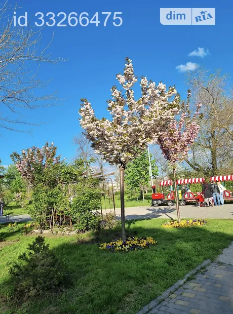 Квартира на вул. Добровольців 10/6 в Одесі, ID 177123, фото №26