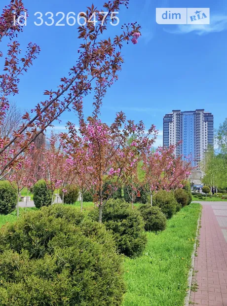 Квартира на вул. Добровольців 10/6 в Одесі, ID 177123, фото №28