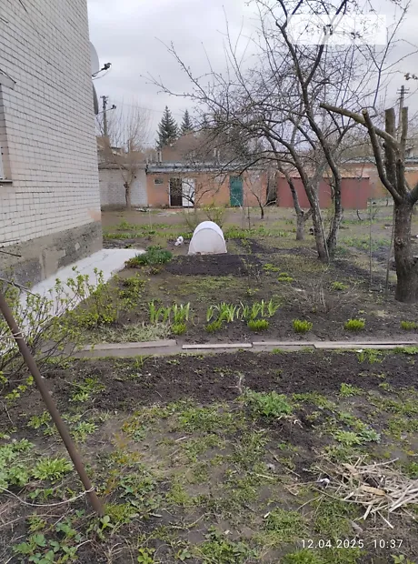 Квартира на вул. Корольова в Чернігові, ID 228577, фото №18